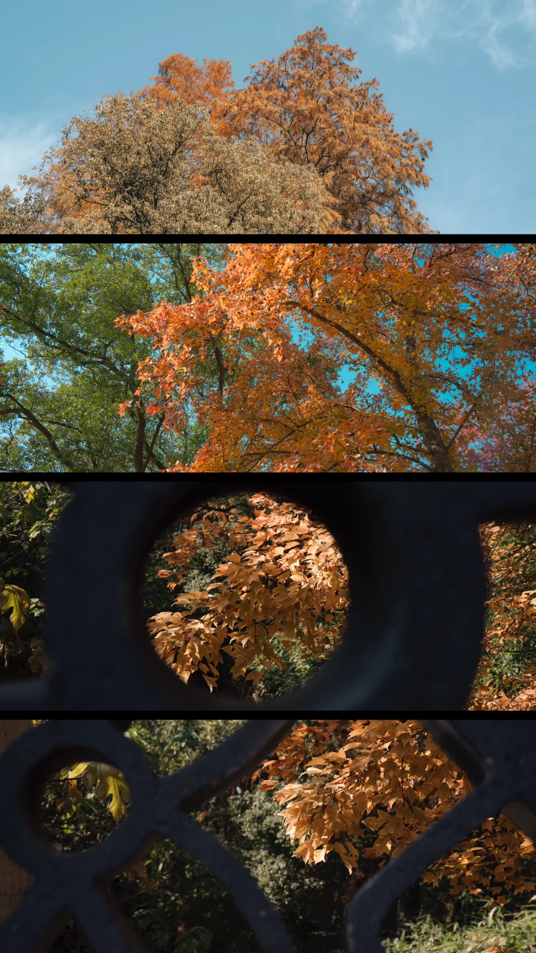 天平山，苏州色彩最丰富的秋天在这里