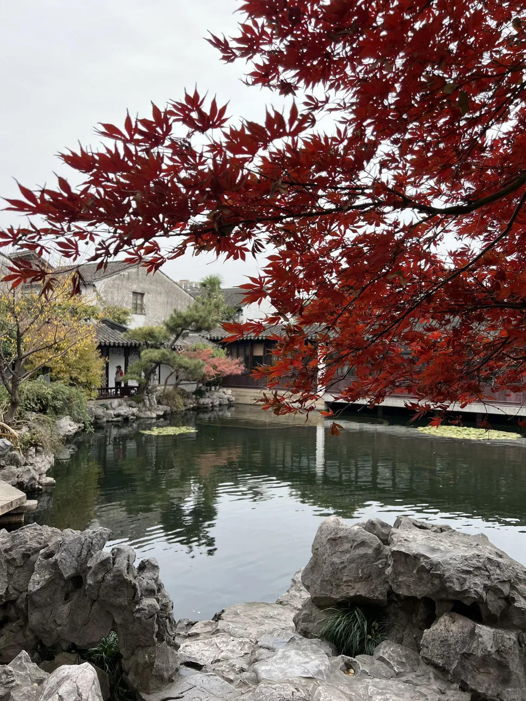 上有天堂、下有蘇杭🌷🌱🌸🍃🍁💐