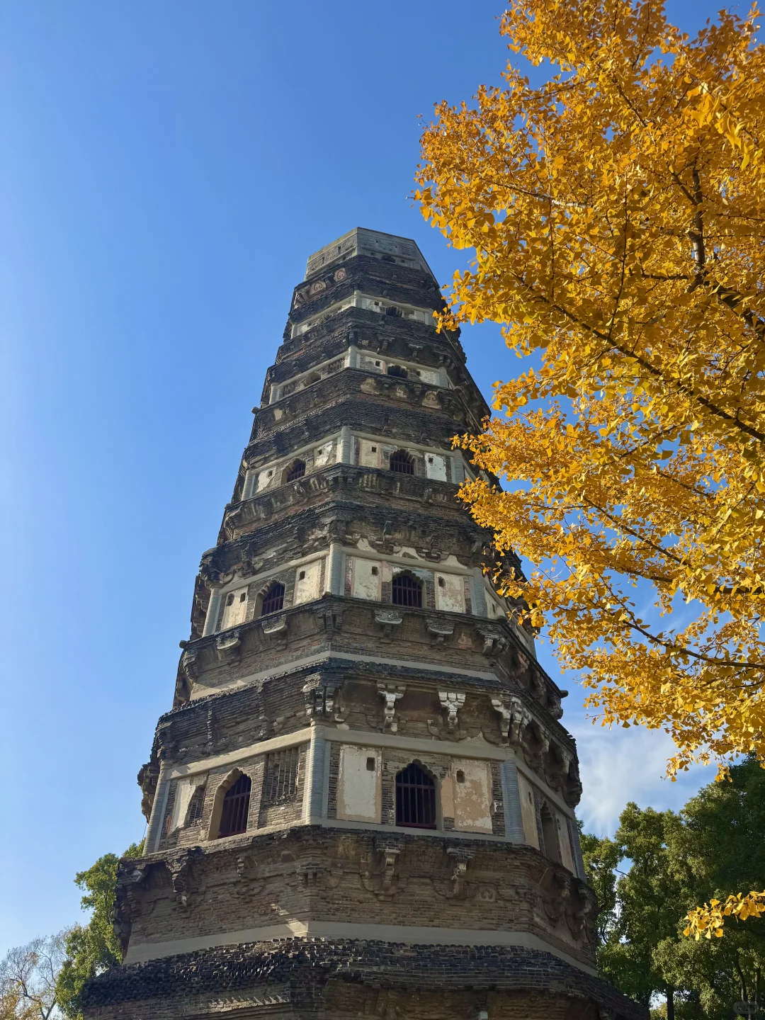 11.30实况｜虎丘秋景已经封神！！！！！🍁🍂