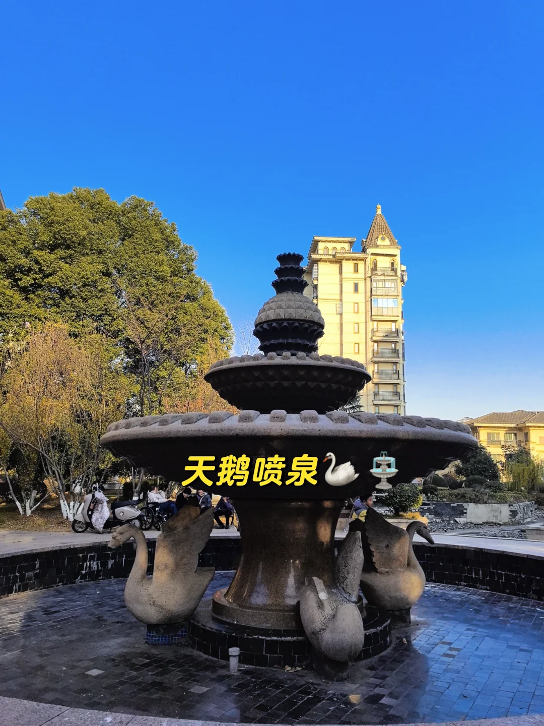 南京梦想养老神房‼️这样的房子必须看‼️