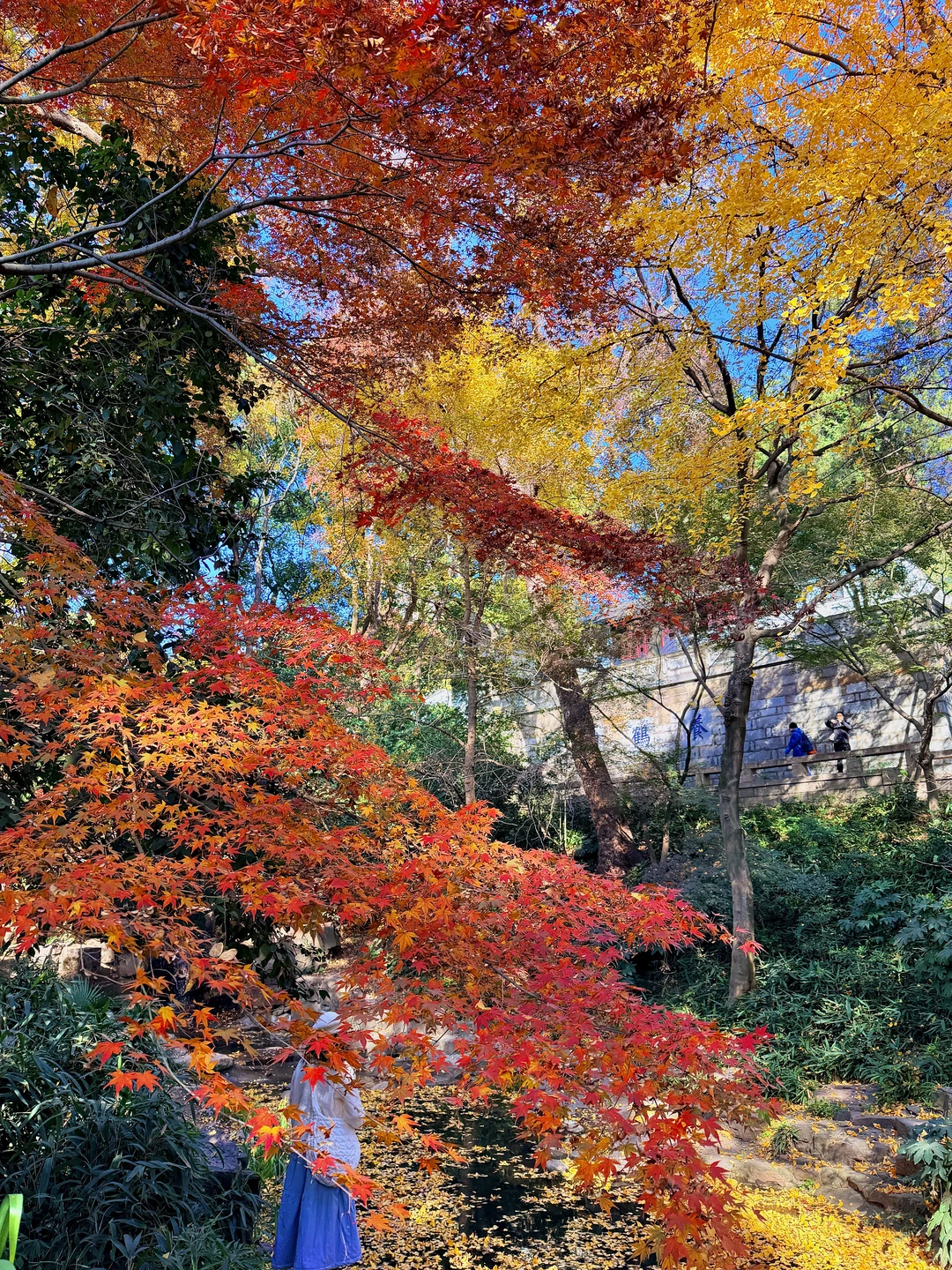 12.3苏州今天杀疯了！！！！！！！！！！！！！！