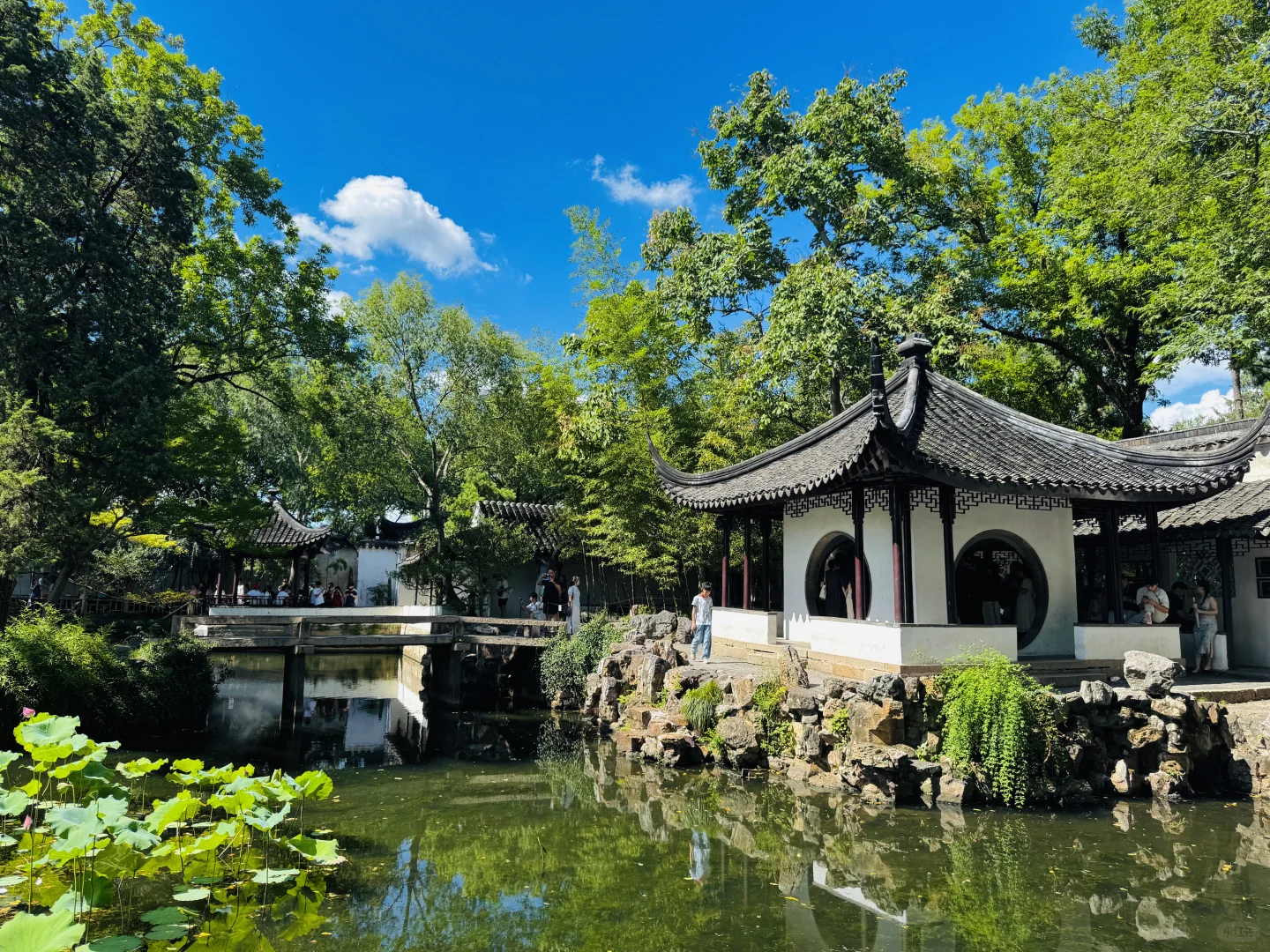 苏州｜拙政园