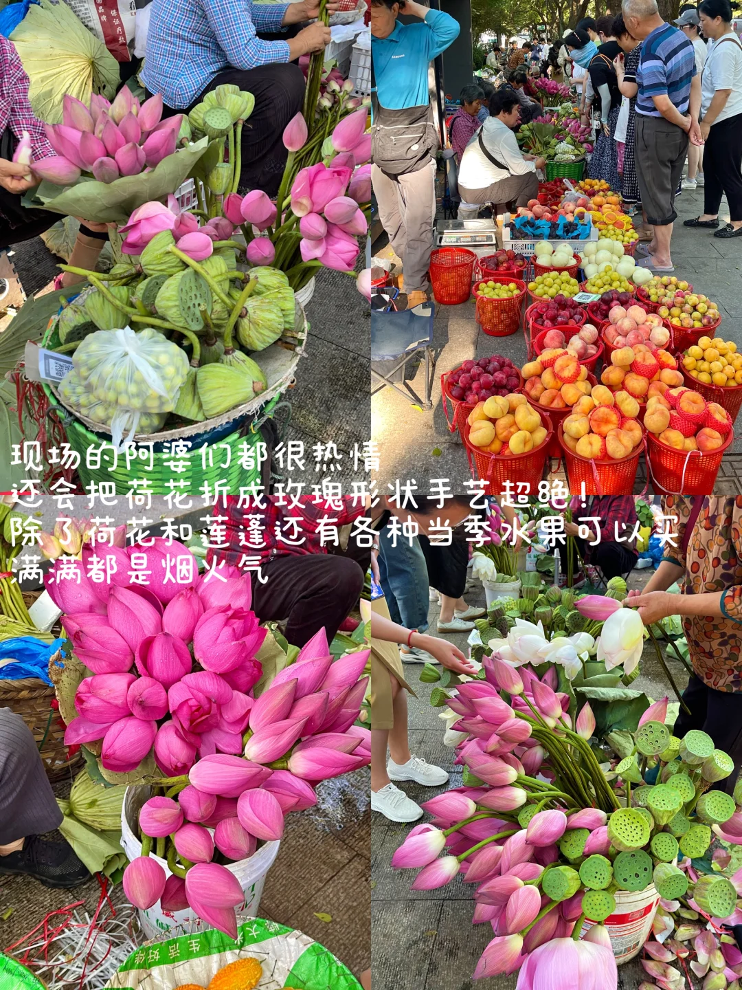 苏州citywalk | 邂逅最纯粹的江南韵味