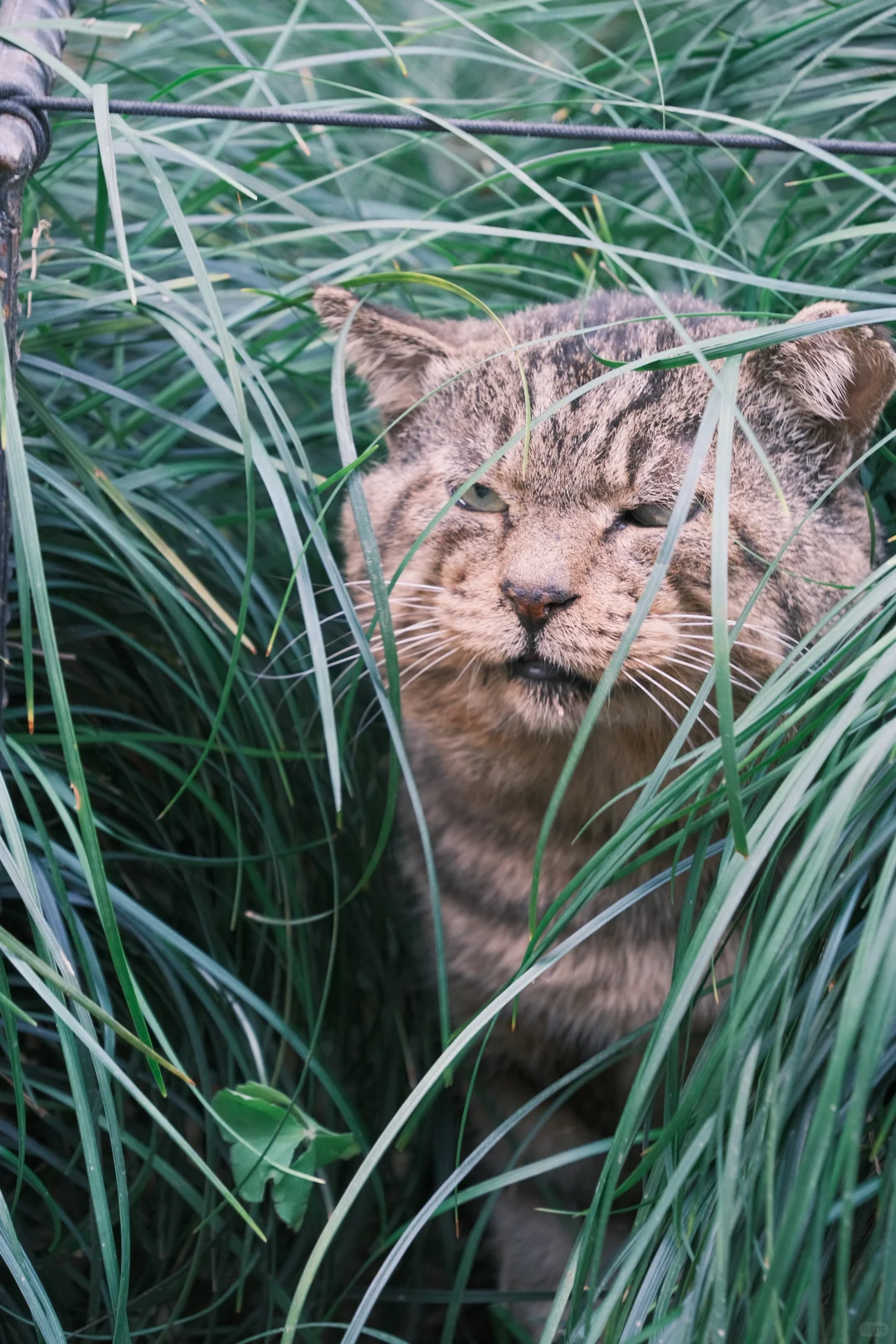 中国四大名园之一，拙政园🍂