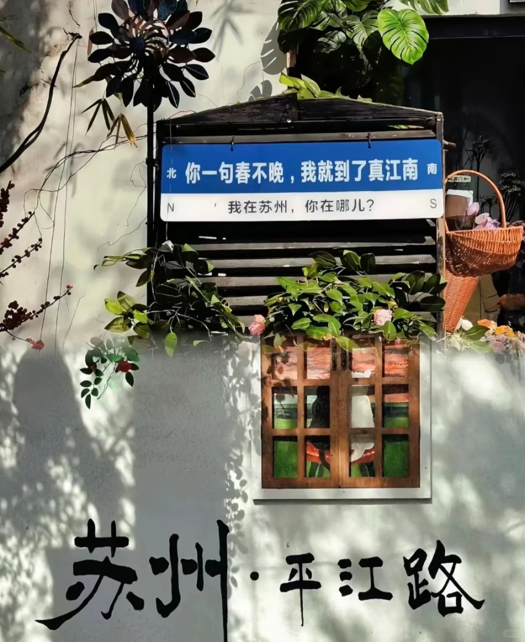 一条平江路，半座姑苏城｜从早到晚攻略