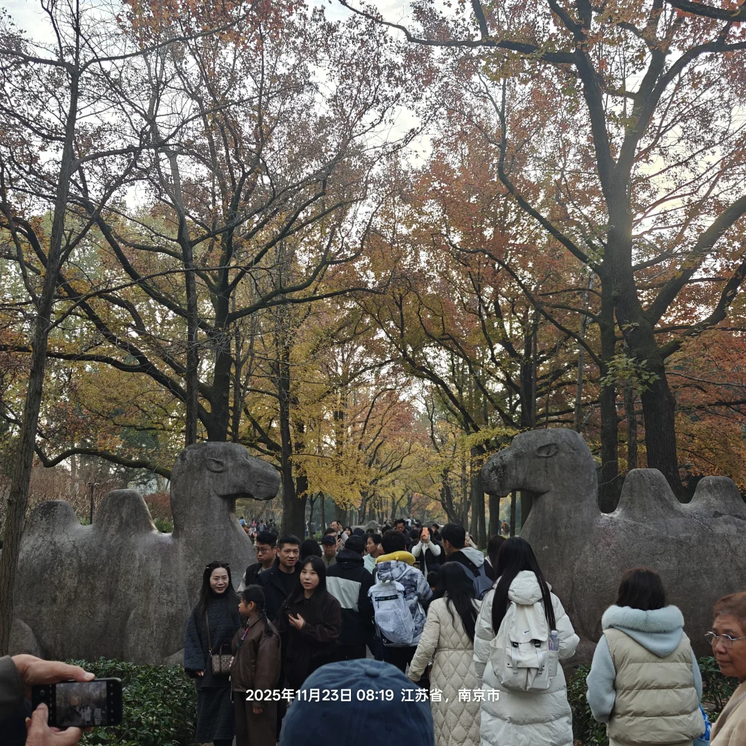 南京游，徒步狂徒都怂了