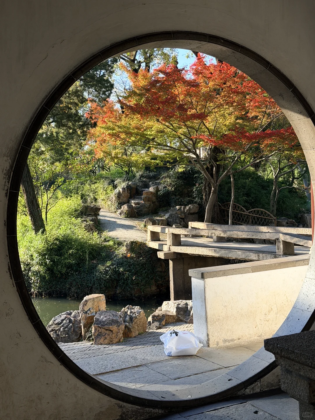 拙政园实况❗️苏州秋天的美，真的很难不爱❗️