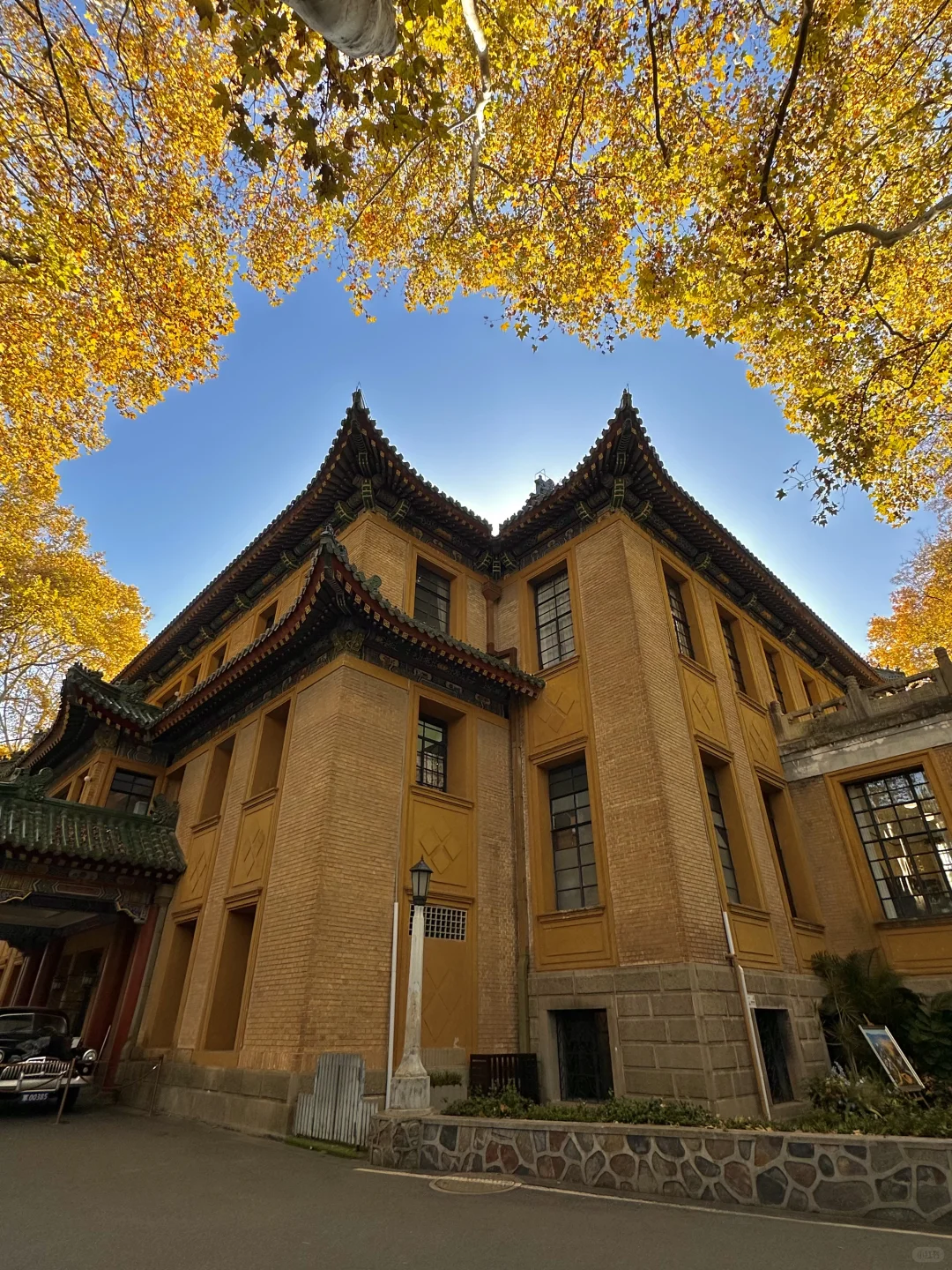 12.1实况！南京的秋天美疯了（合集附地址…