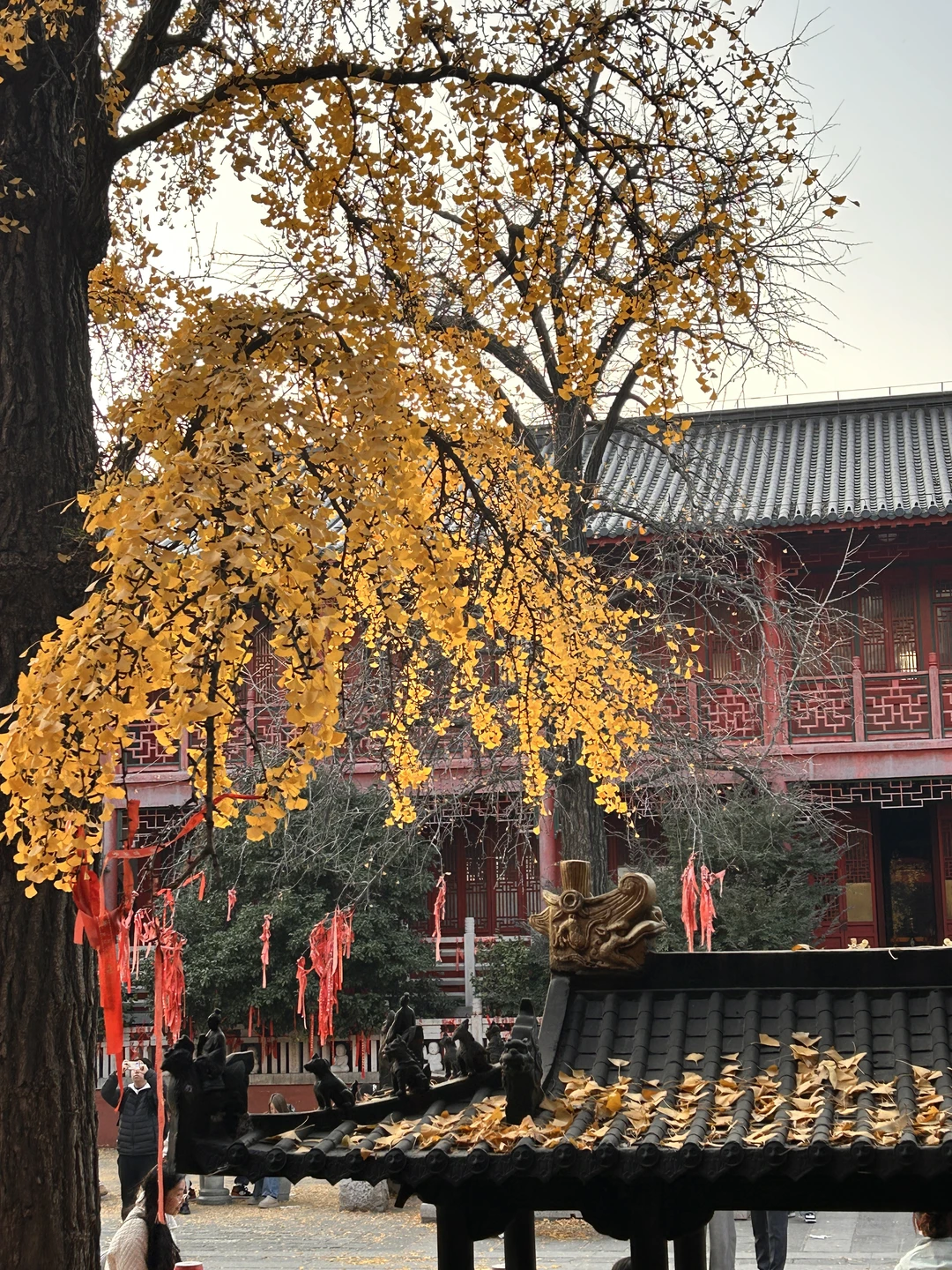 南京毗卢寺：喧嚣闹市中穿越时空的禅境