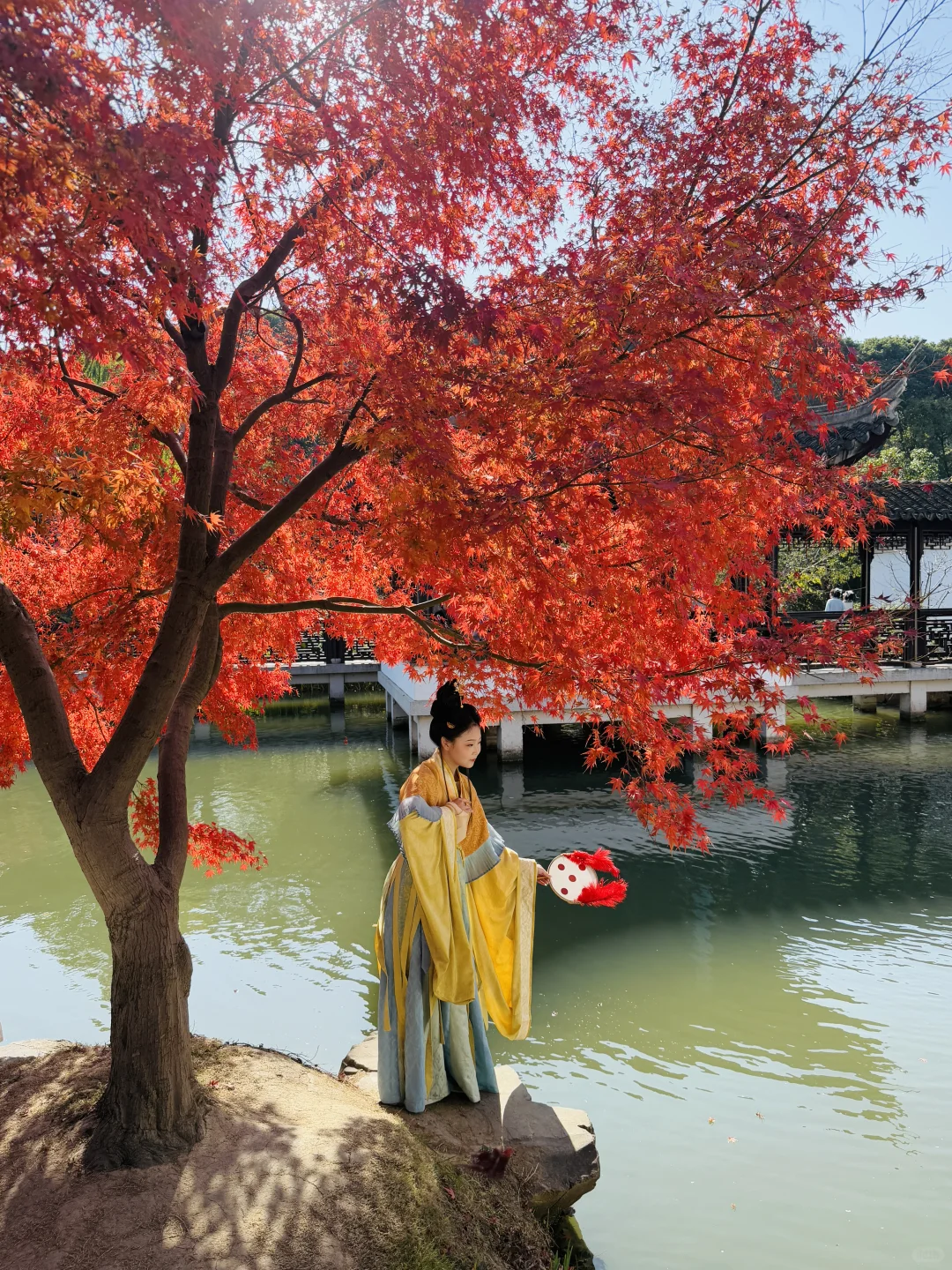 Live🍁接下来的苏州，将迎来封神级别的秋天