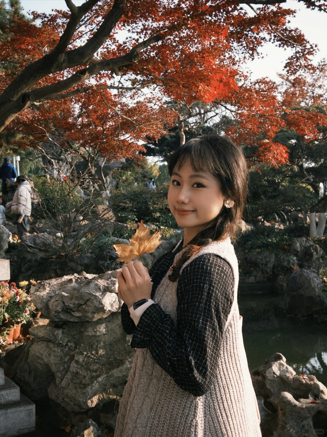 南京你把我养的很好