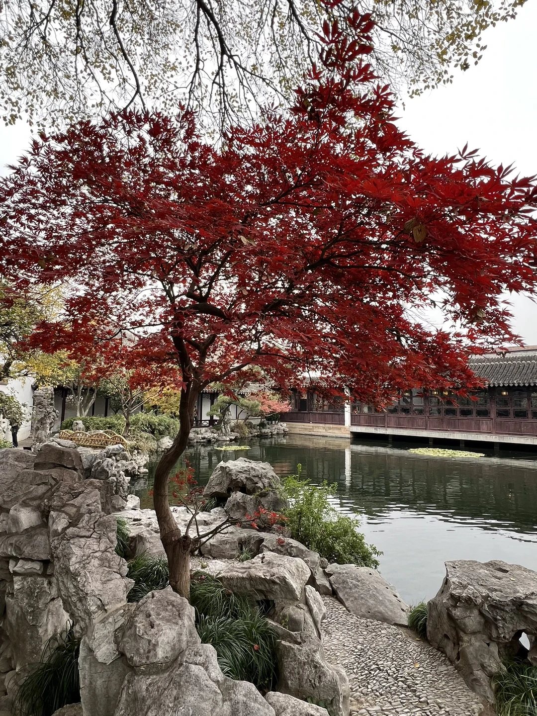 上有天堂、下有蘇杭🌷🌱🌸🍃🍁💐