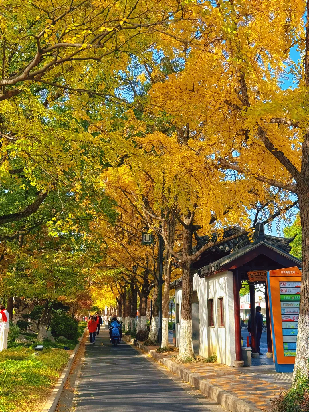 预计下周，全苏州人员都会来这里……