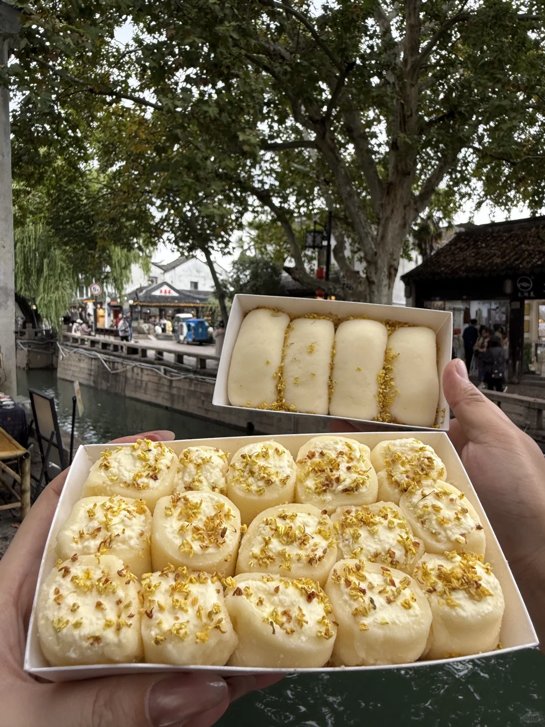 人生建议：逛完平江路再离开苏州。。。。。