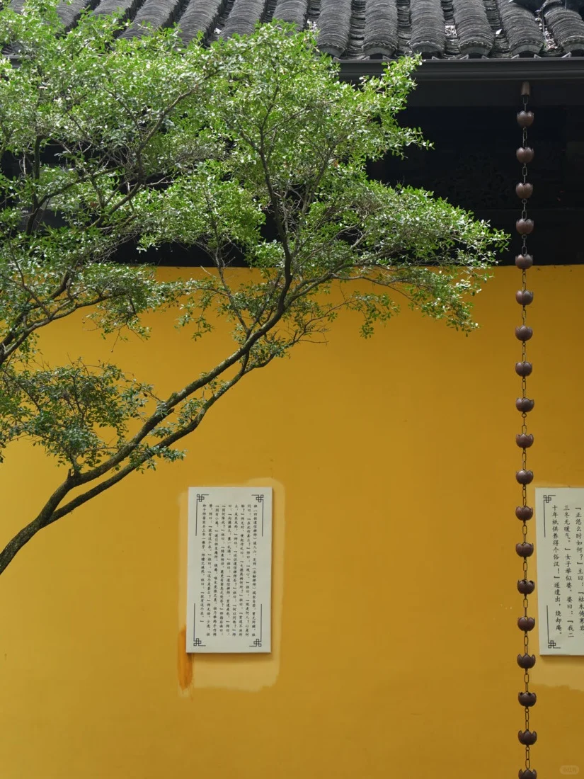 苏州｜一步一景，尽显江南诗意