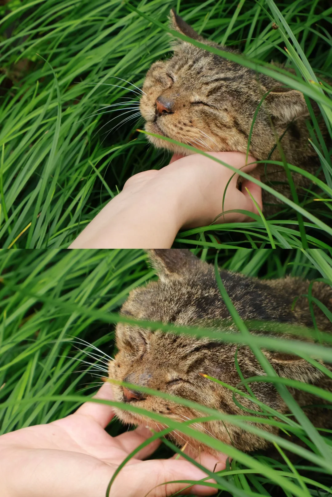 SEU｜周末逃离车大🚗之苏州！