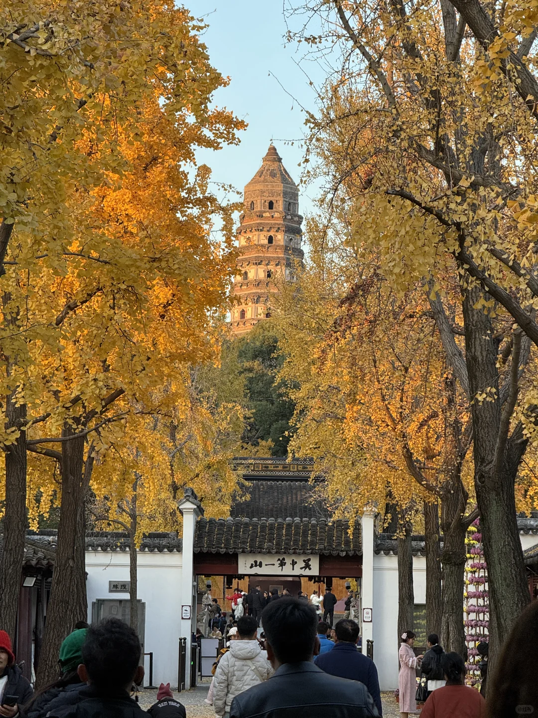 苏州的的秋马上要结束了