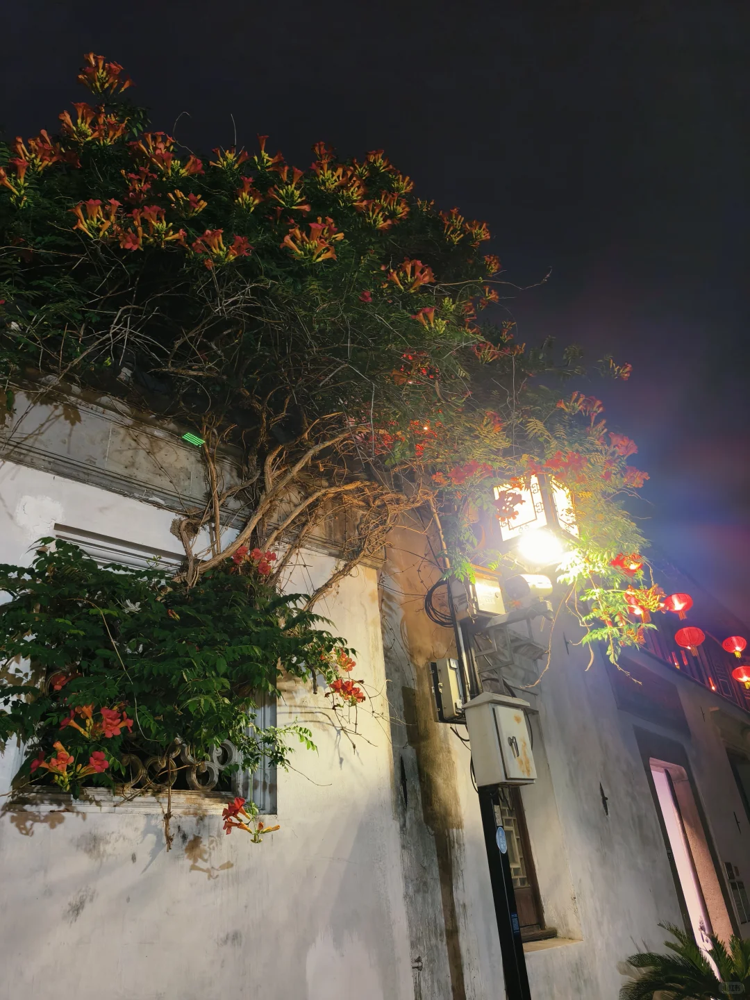 苏州山塘街游玩攻略，千万不要节假日去