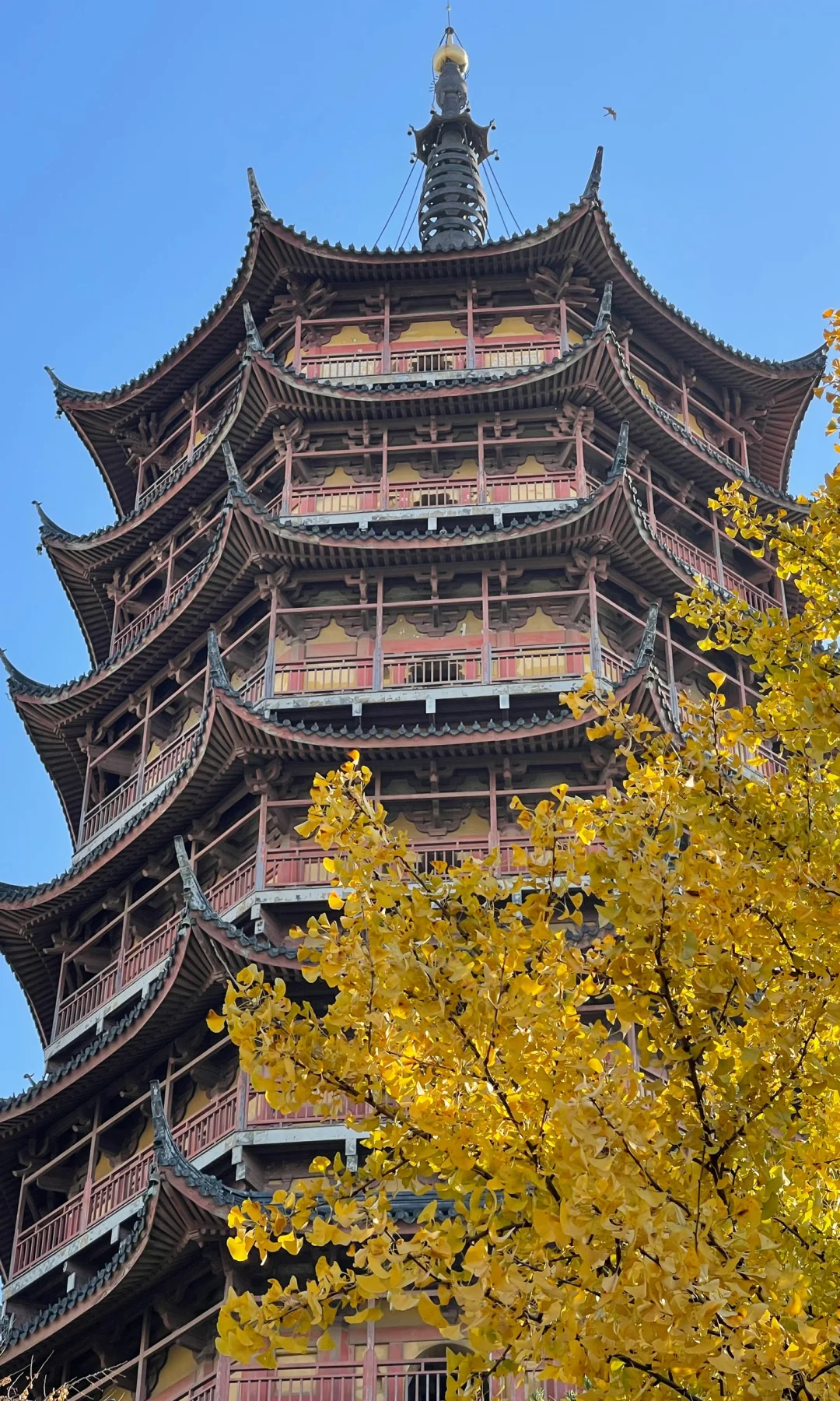 18张live图🍁告诉你苏州秋天有多美！！