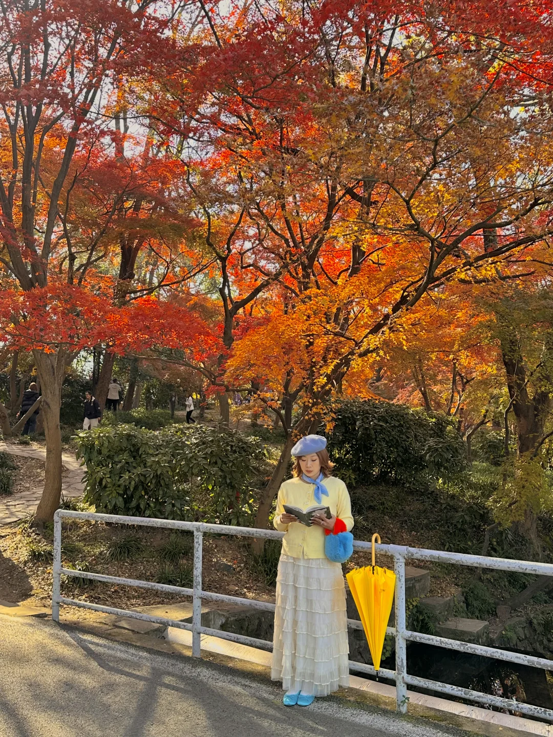 12.1实况！南京的秋天美疯了（合集附地址…