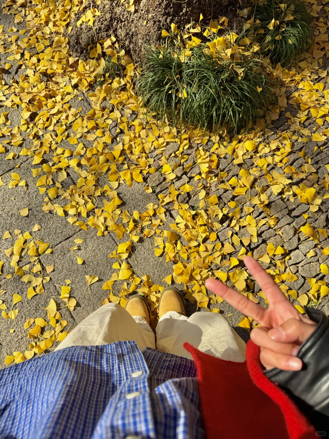 12.3苏州今天杀疯了！！！！！！！！！！！！！！