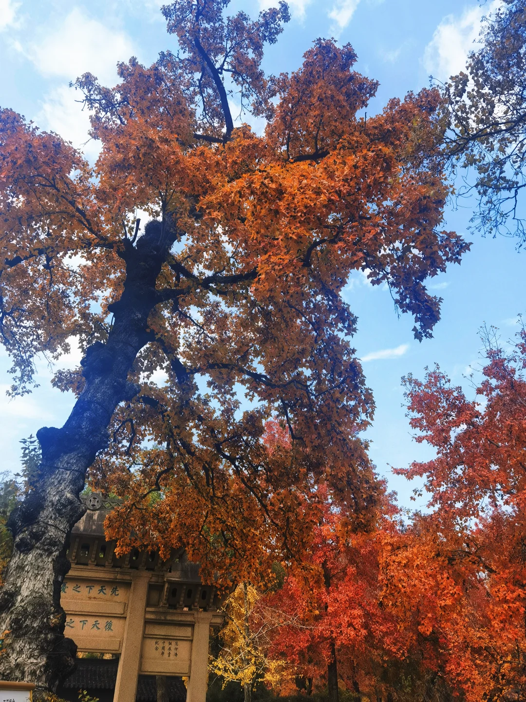 苏州特种兵一日游