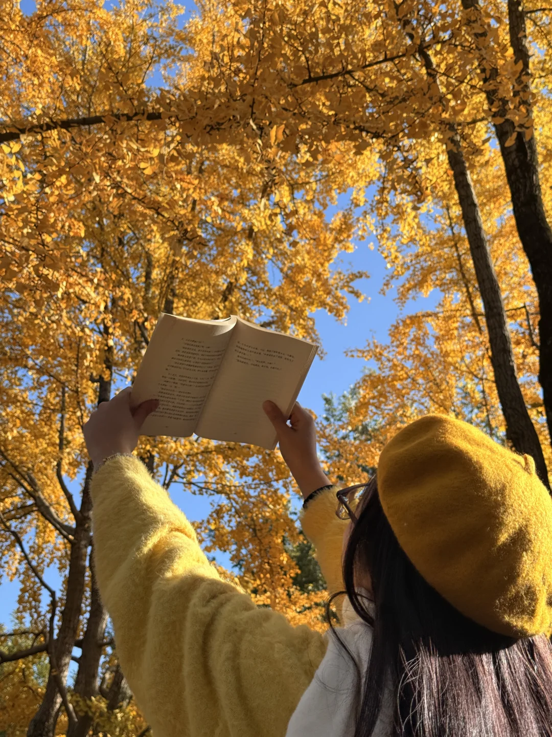 苏州最佳赏秋时间已到！！附拙政园超详细攻略