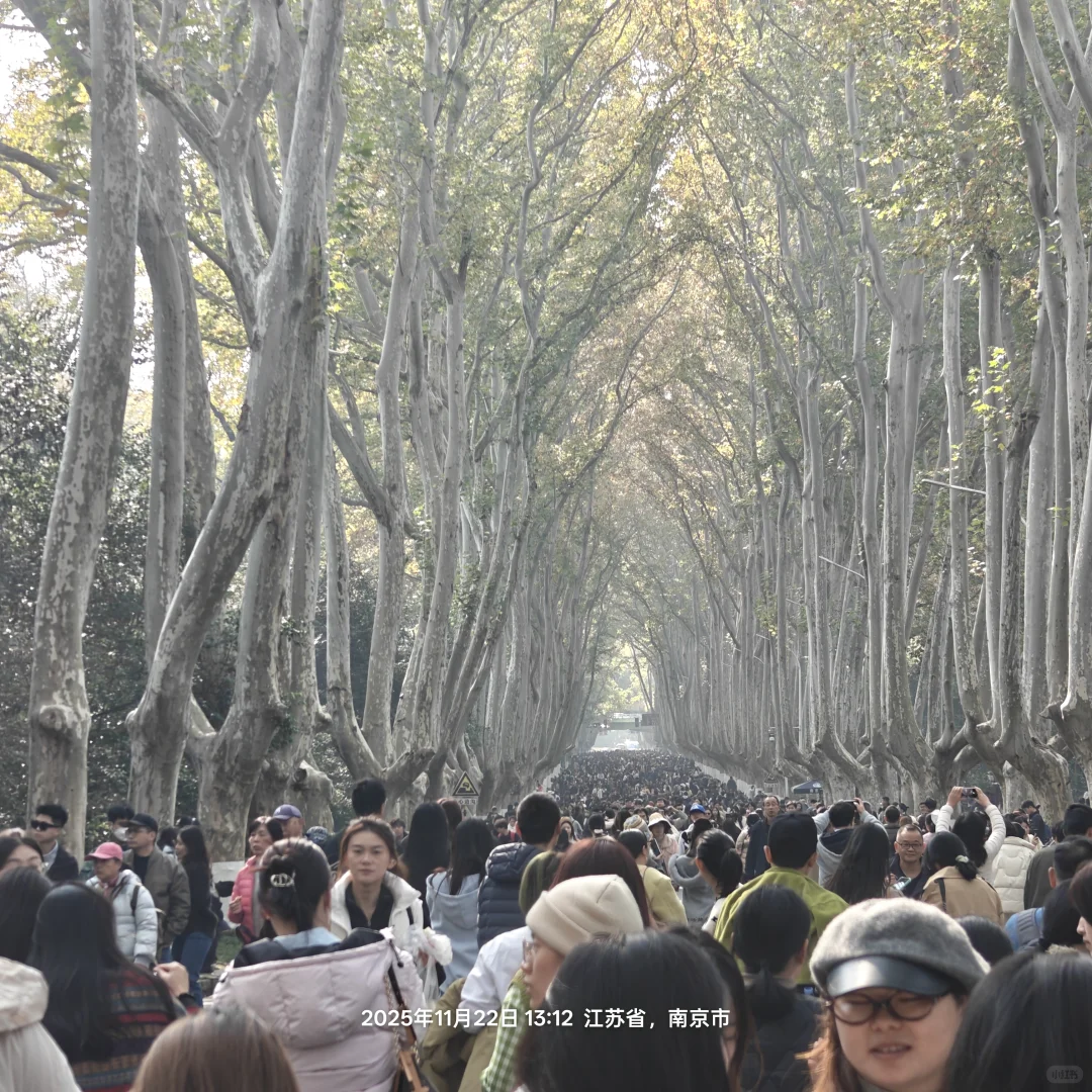 南京游，徒步狂徒都怂了