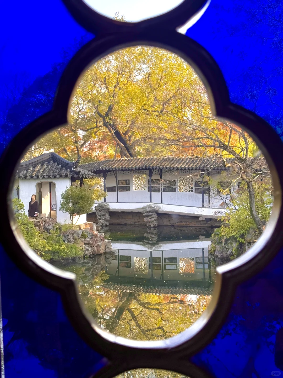 Live🍁接下来的苏州，将迎来封神级别的秋天