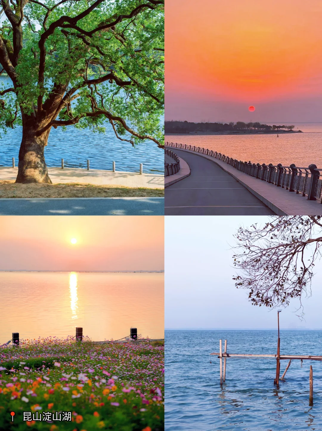 苏州有湖的地方都很震撼，而且还免费