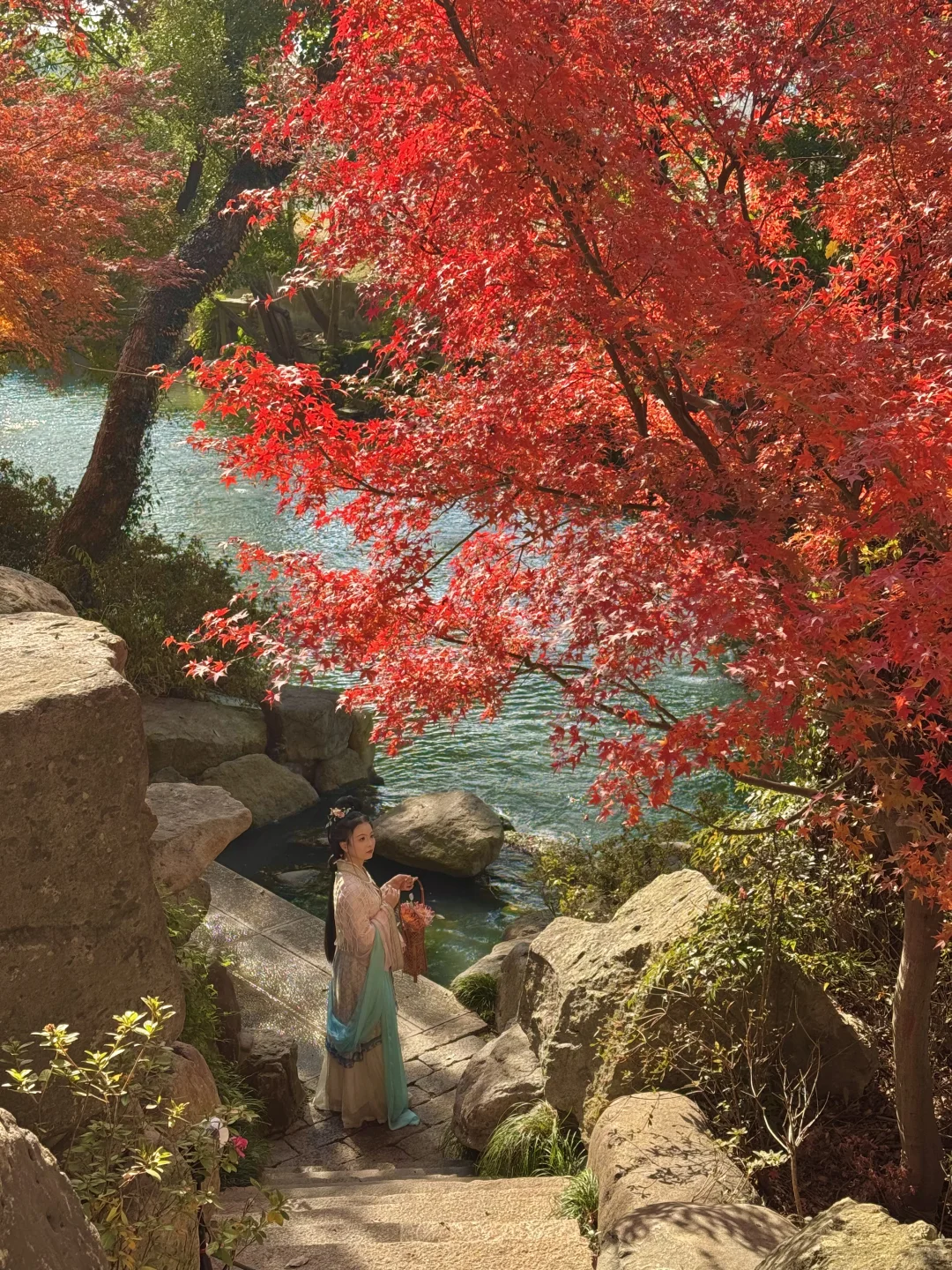 11.30实况｜虎丘秋景已经封神！！！！！🍁🍂