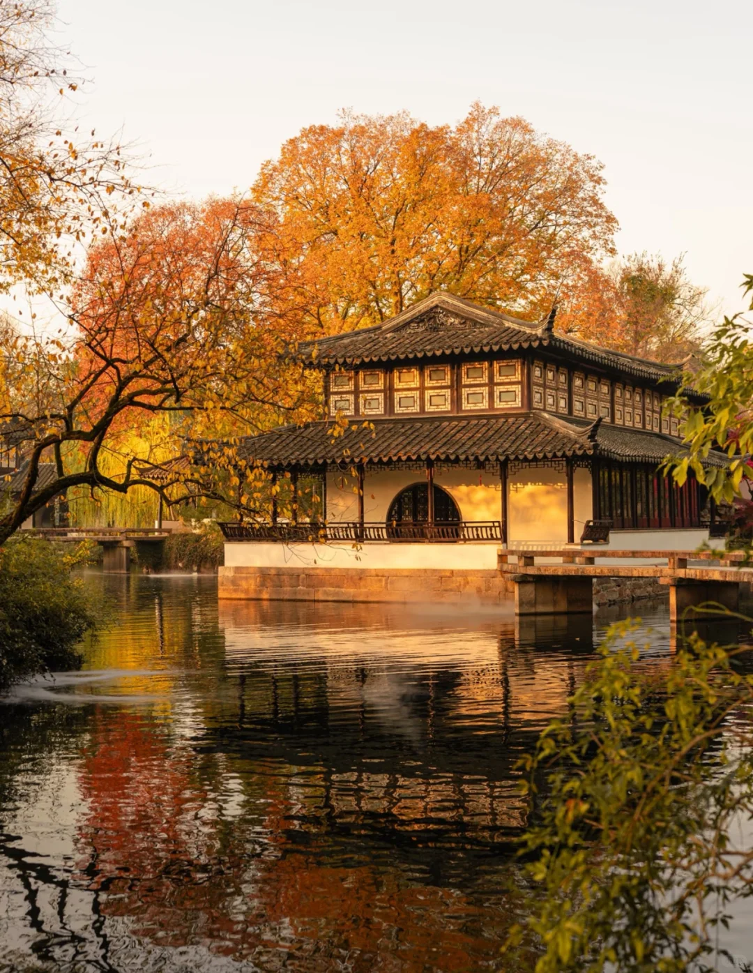 苏州最佳赏秋时间已到！！附拙政园超详细攻略