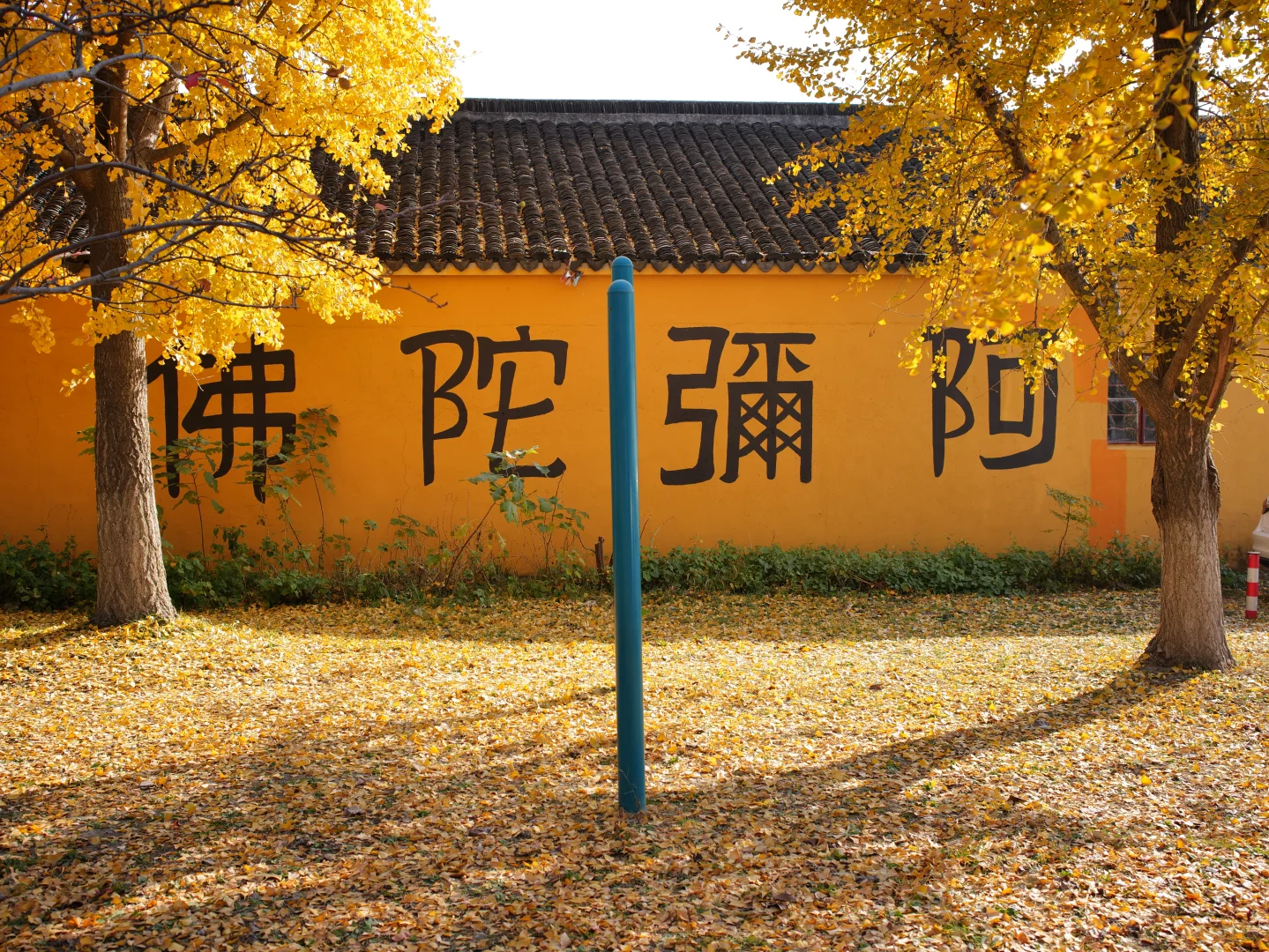 阳澄湖边“世外桃源”