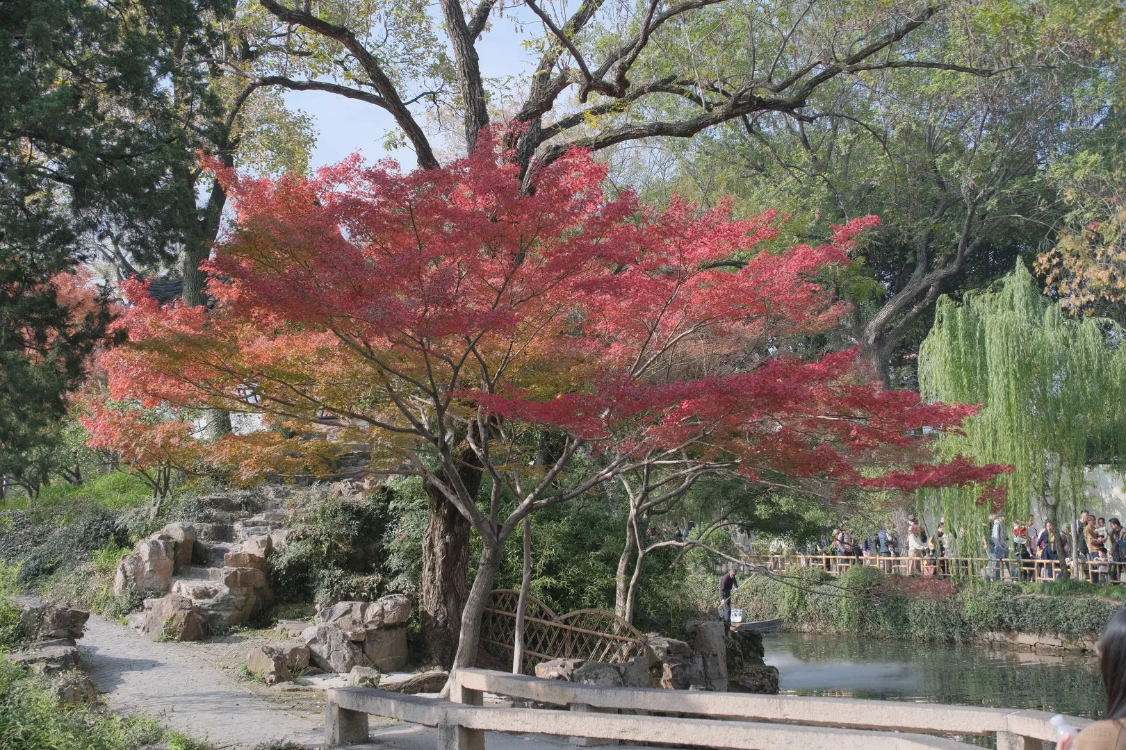 中国四大名园之一，拙政园🍂