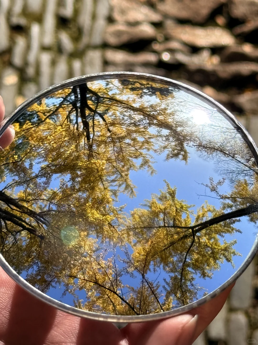 苏州最佳赏秋时间已到！！附拙政园超详细攻略