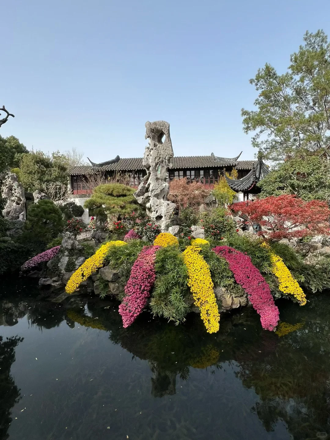 上有天堂、下有蘇杭🌷🌱🌸🍃🍁💐