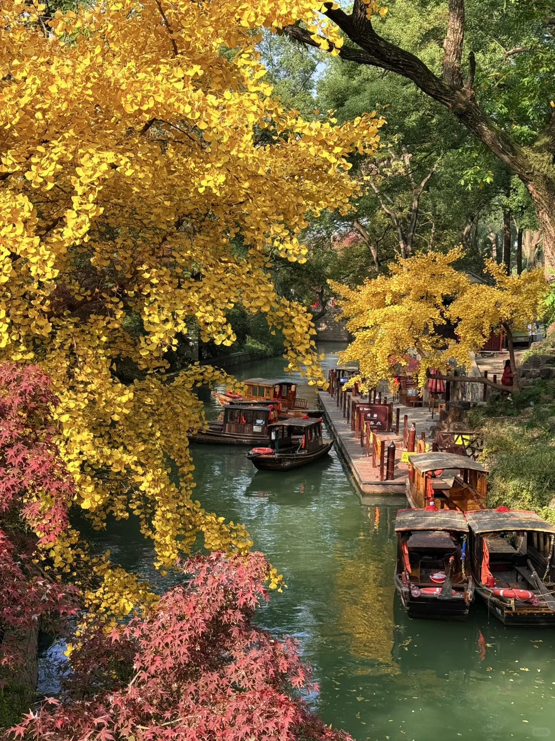 12.1日 苏州的秋天也接近尾声了