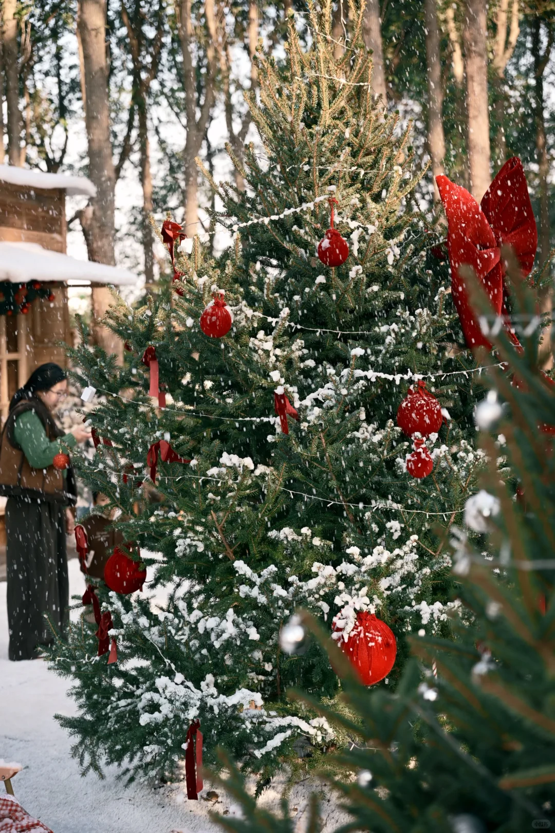 阳澄湖这里的飘雪，也太太太太太好拍了吧！！！