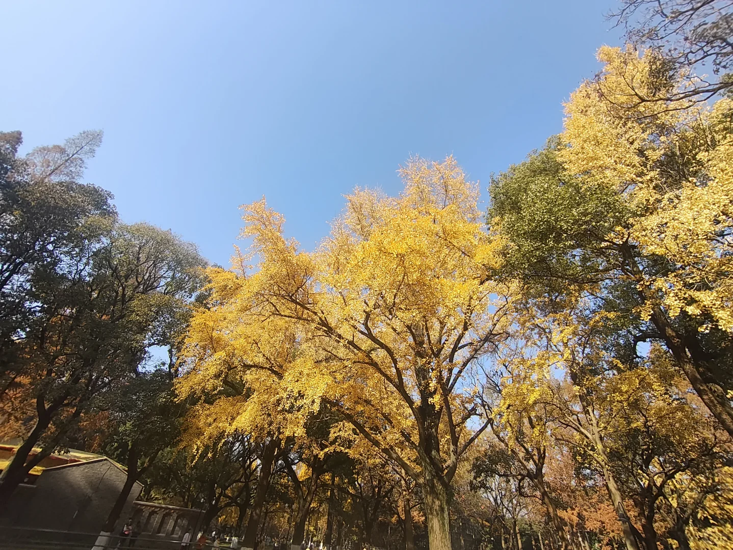 周末，来看下苏州大学