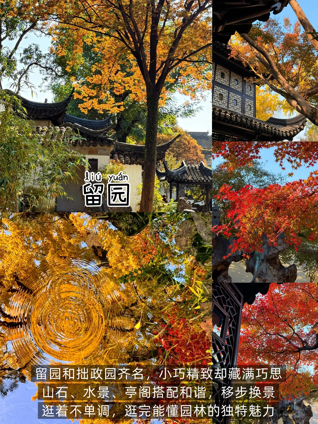 苏州📍两日游丨懒人版不走回头路逛吃攻略