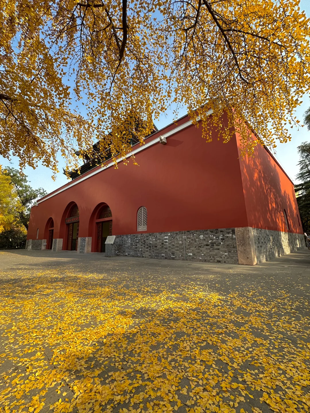 12.1实况！南京的秋天美疯了（合集附地址…