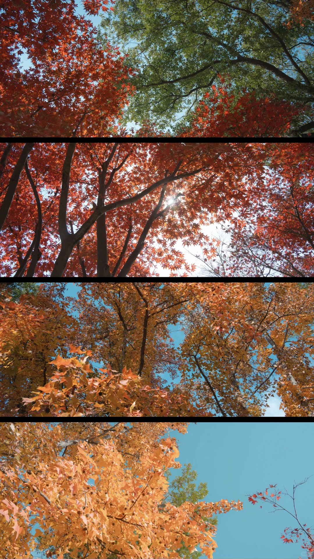 天平山，苏州色彩最丰富的秋天在这里
