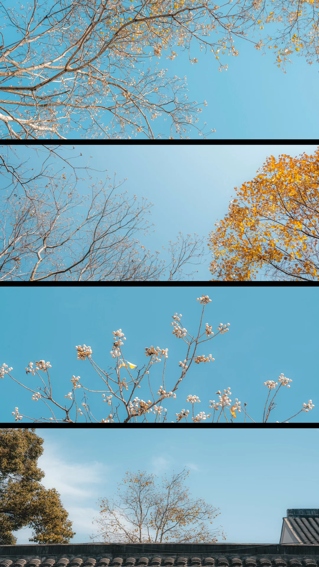 天平山，苏州色彩最丰富的秋天在这里