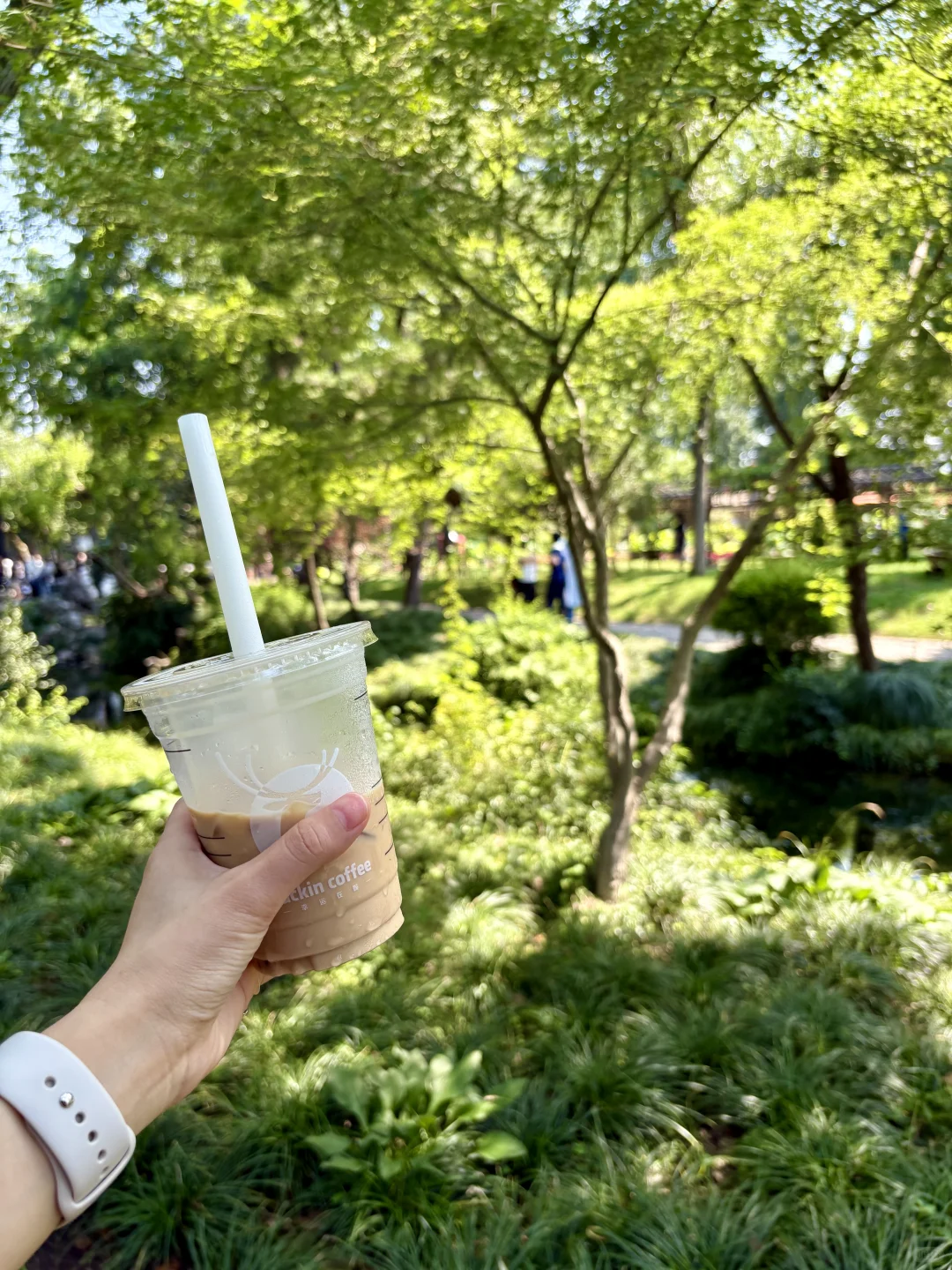 苏州一日游🫠🥵🙃