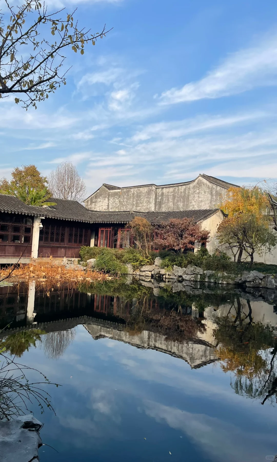 18张live图🍁告诉你苏州秋天有多美！！