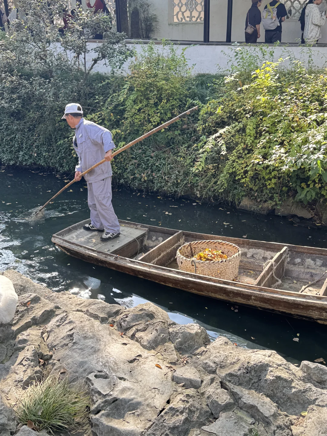苏州的秋天鲨疯了！！😭