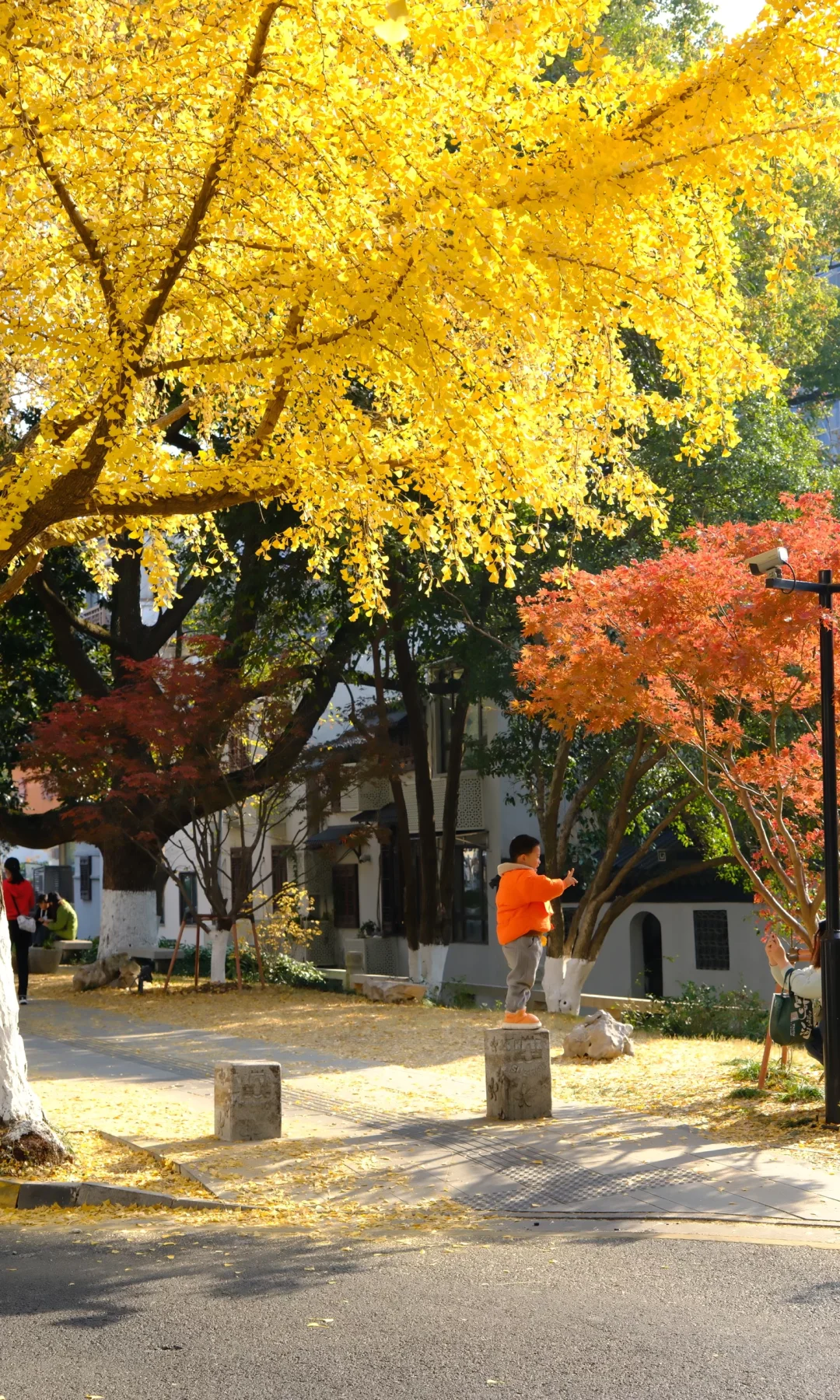 18张live图🍁告诉你苏州秋天有多美！！