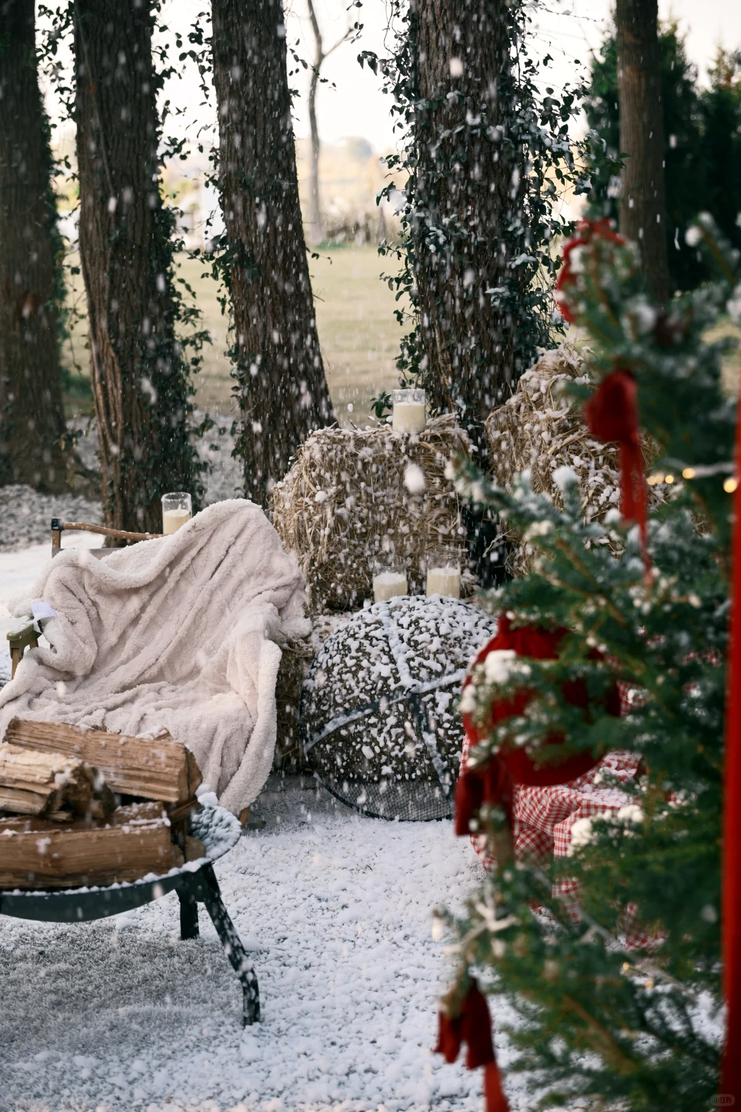 阳澄湖这里的飘雪，也太太太太太好拍了吧！！！