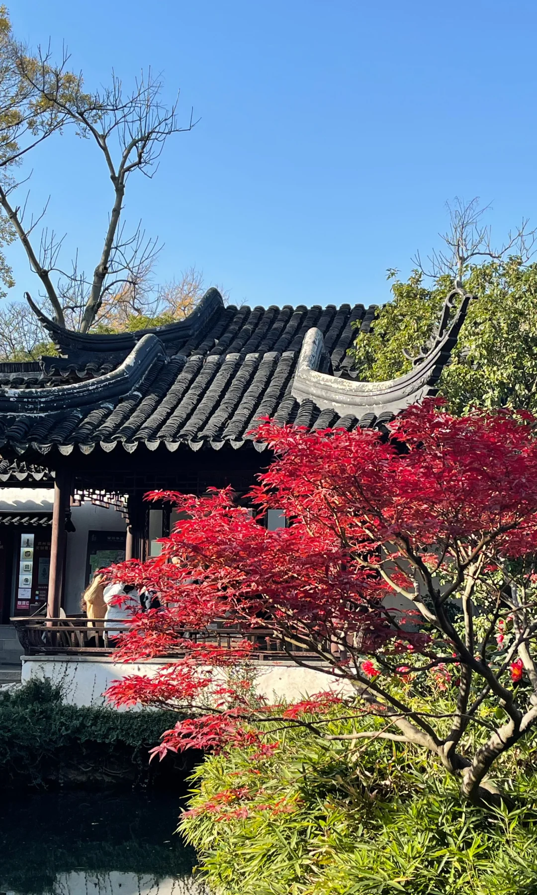 18张live图🍁告诉你苏州秋天有多美！！