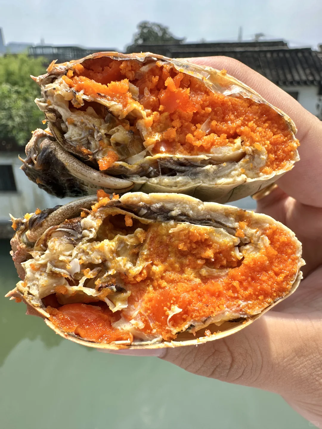 因为山塘街的河景，永远对苏州有滤镜。。。